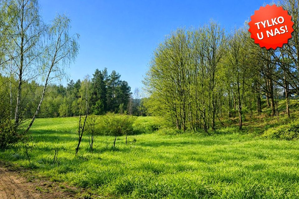 Działka Grzybno