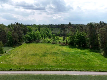 Działka budowlana Masanów