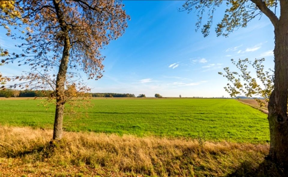 Działka budowlana Stawek