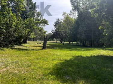 Działka Wola Szydłowiecka
