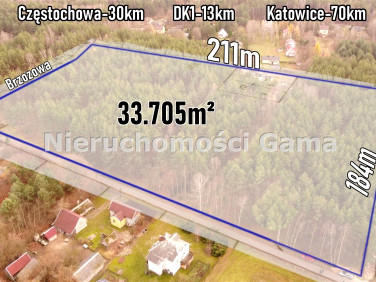 Działka leśna Ostrów