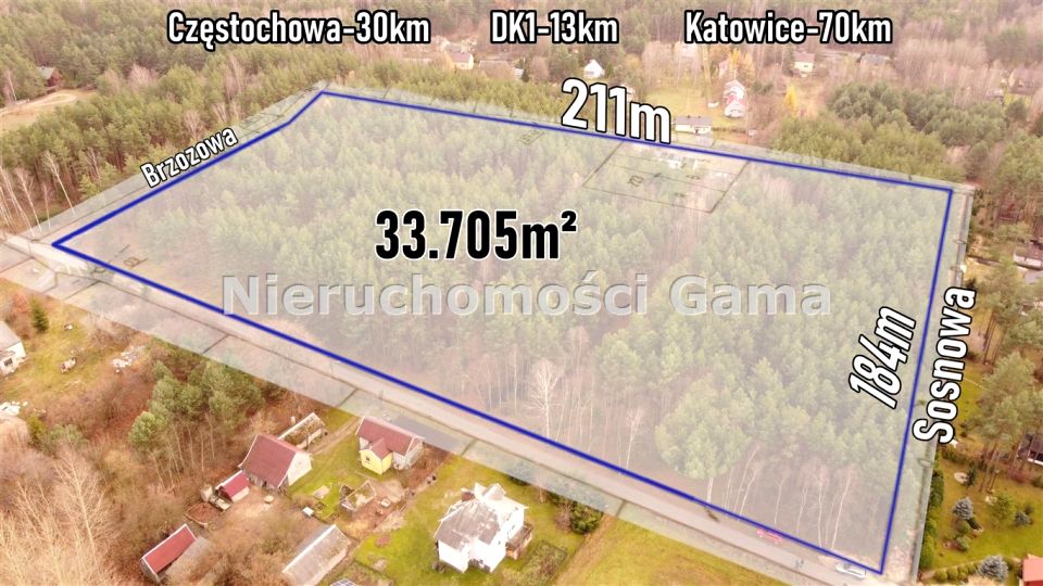 Działka leśna Ostrów