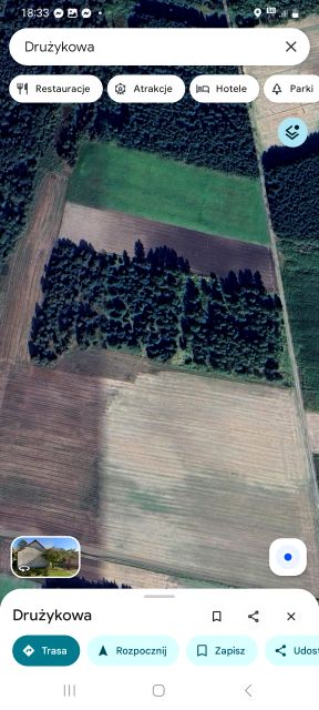 Zalesiona działka Drużykowa