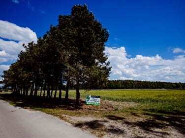 Działka budowlana Kępa Borzechowska