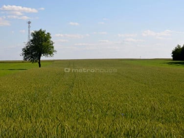 Działka Wólka Jagielczyńska