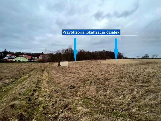 Zdjęcie 2