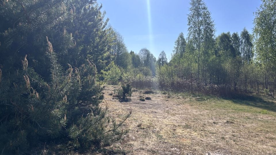 Sprzedam działkę Zagościniec - 1 985 m², Zagościniec