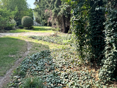 Działka inwestycyjna Janikowo