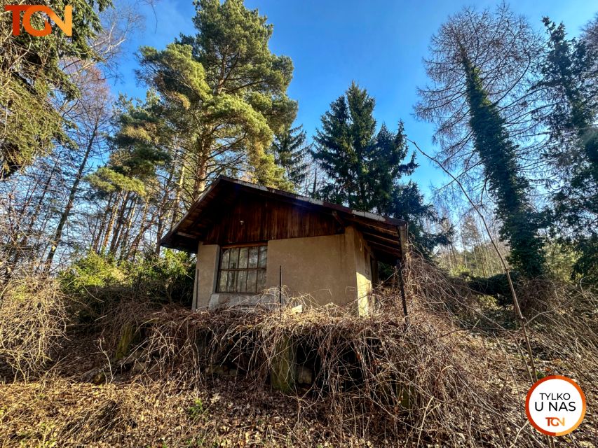 Działka Michałówek
