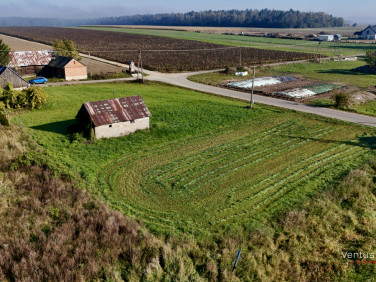 Działka rolna Orzeszówka