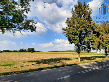 Działka rolna Rudno