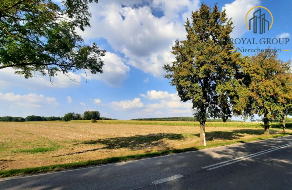 Działka rolna Rudno