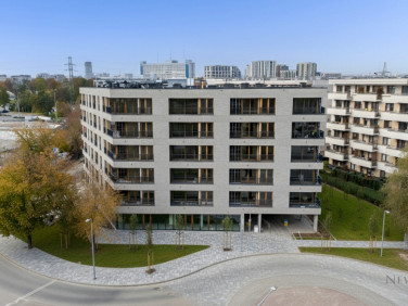 Lokal Kraków