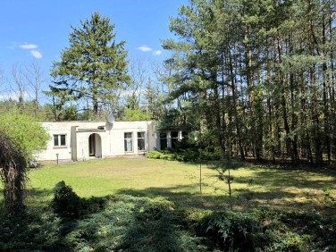 Działka inna Władysławów