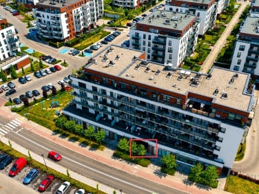 Lokal Katowice