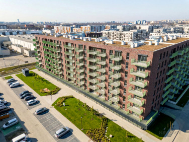 Lokal Kraków