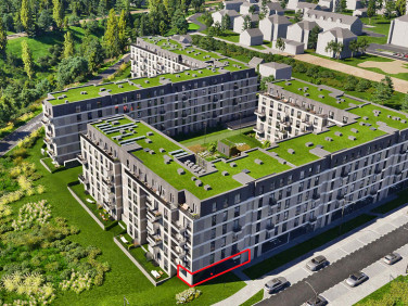 Lokal Kraków