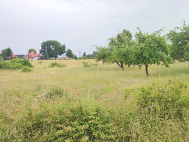 Działka budowlana Suchlica