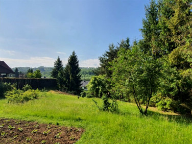 Zabudowana działka Golkowice