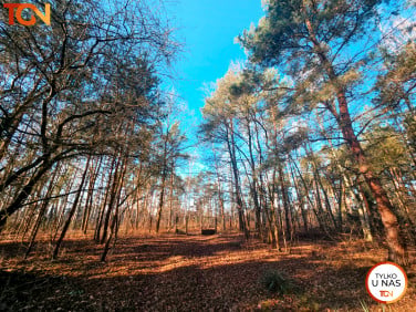 Działka Sokolniki-Las