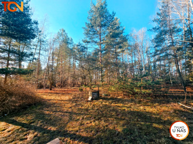 Działka Sokolniki-Las