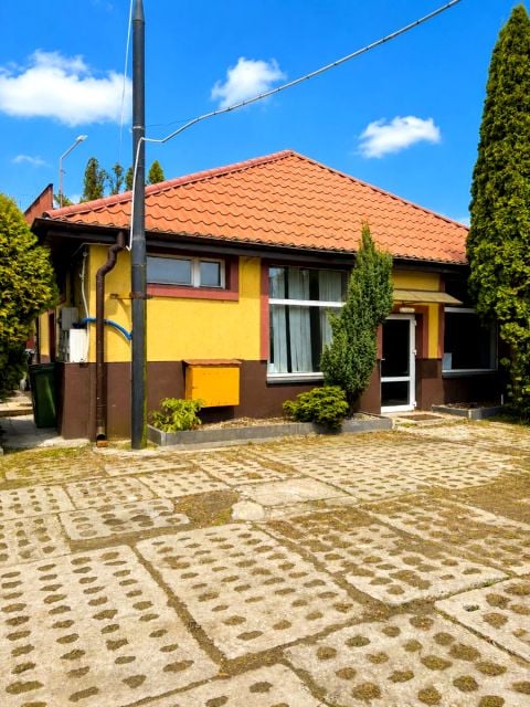 Lokal Aleksandrów Łódzki sprzedaż