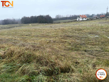 Działka Muntowo