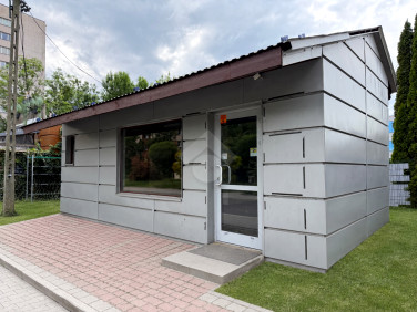 Lokal Kraków