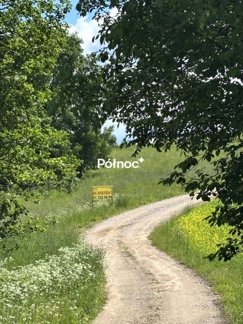 Zdjęcie 3
