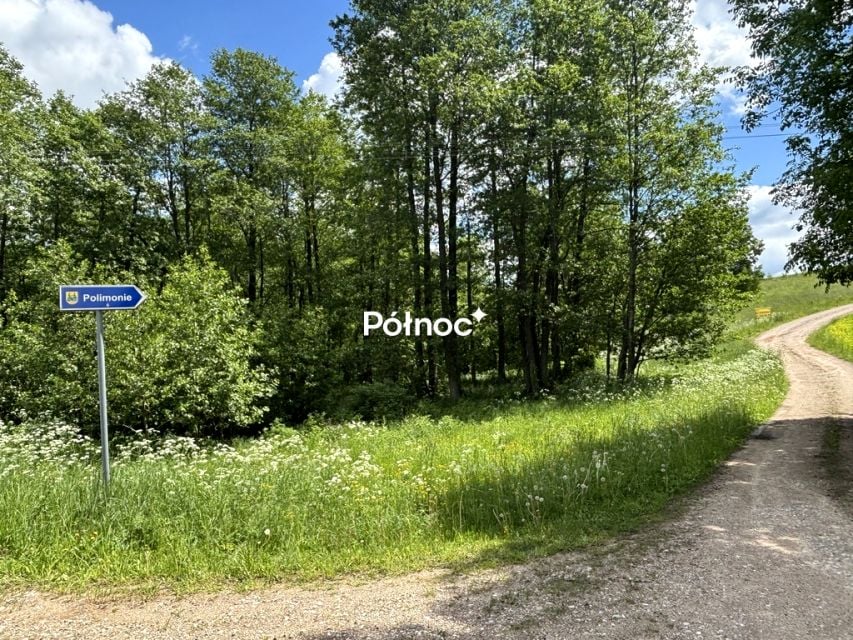 Zdjęcie 2