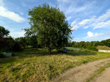 Działka Żukczyn