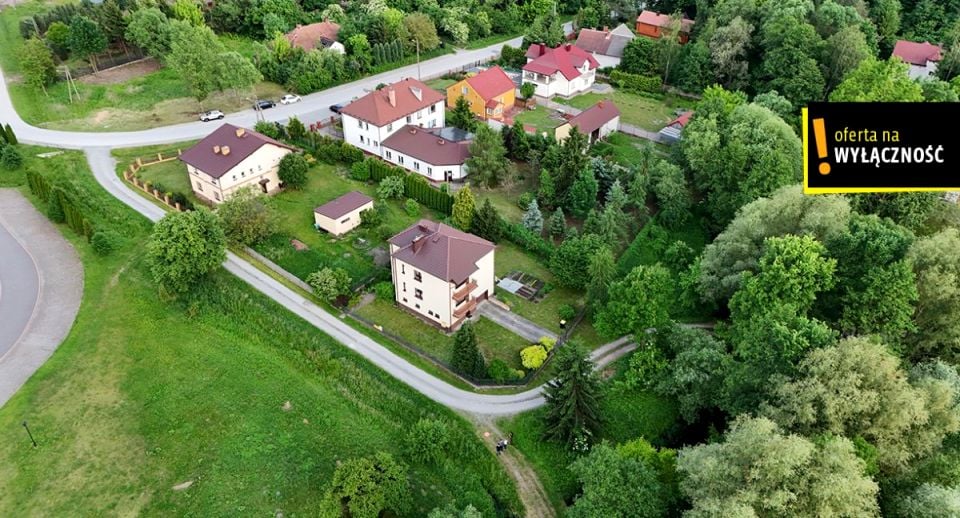 Zdjęcie 3