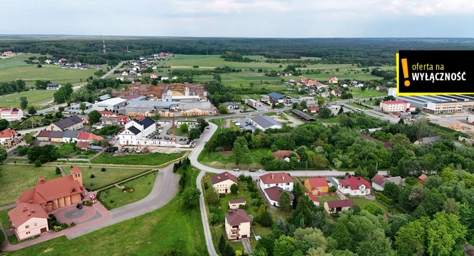 Zdjęcie 2