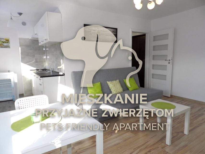 Mieszkanie Katowice