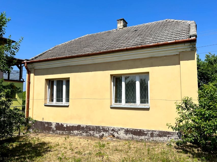 Zdjęcie 3