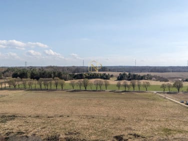 Działka Mierzyno
