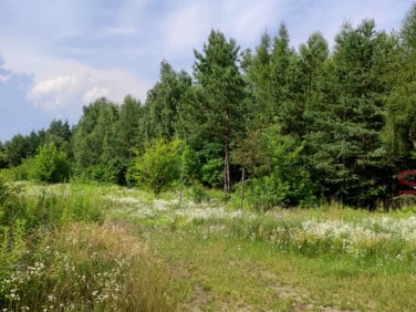 Działka budowlana Łoś