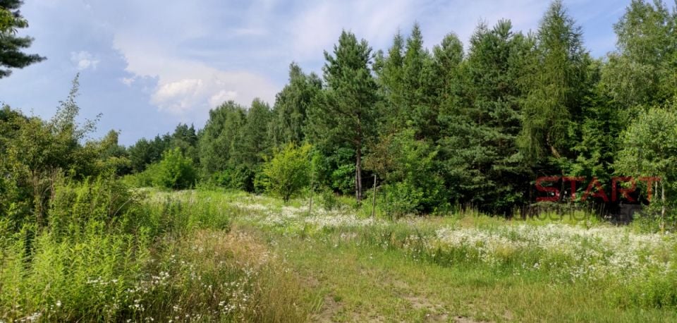 Działka budowlana Łoś