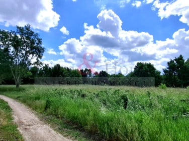 Działka Kłodawa