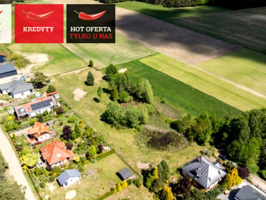 Działka Bieszkowice