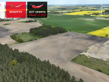 Działka Rajkowy