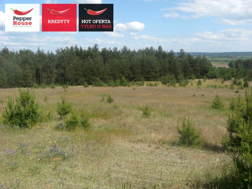 Działka Zdrojewo