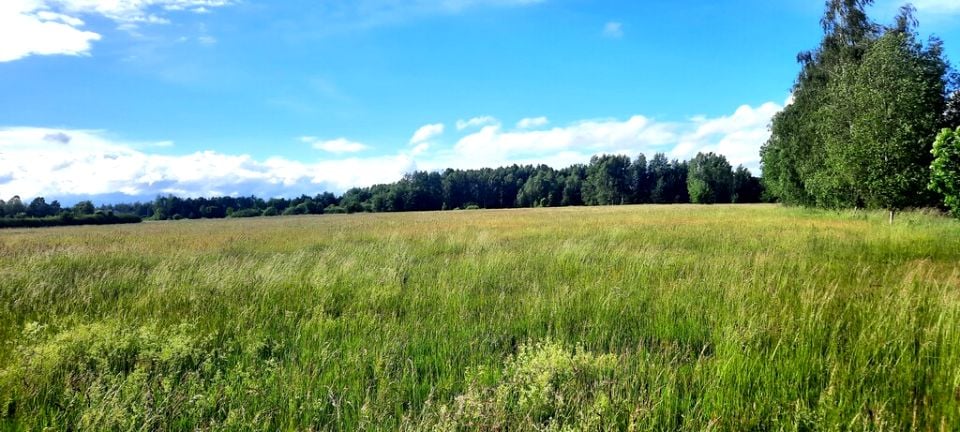 Działka budowlana Łubniki