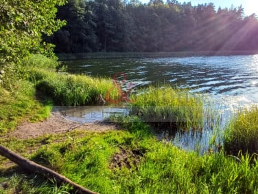 Działka rolna Dobrąg