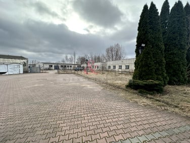 Lokal Pruszcz Gdański