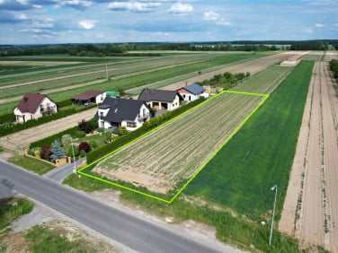 Działka budowlana Tarnogród