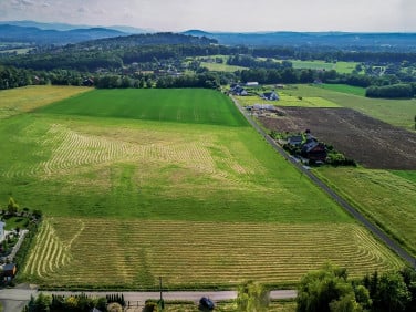Działka Grodziec