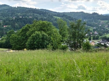 Działka Brenna