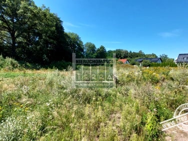 Działka Droszków