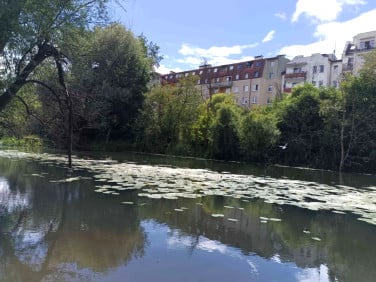 Mieszkanie Wrocław